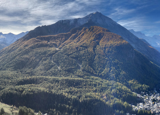 I colori dell'autunno