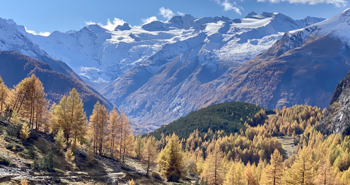 L'incanto del Foliage