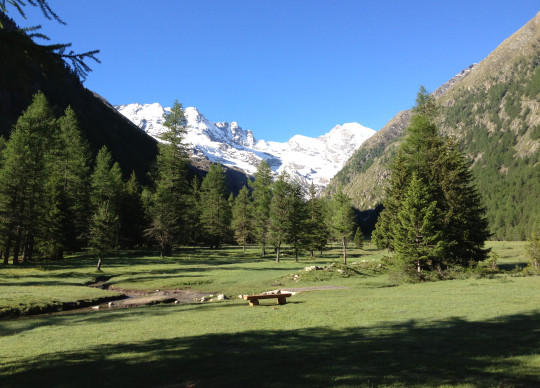 Notti magiche di primavera in Paradiso