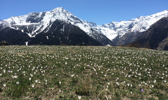 C'est le pringtemps!