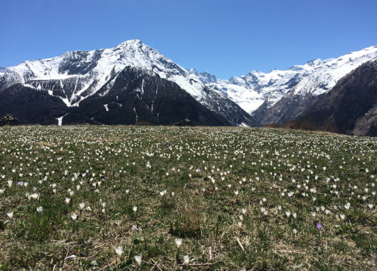 C'est le pringtemps!