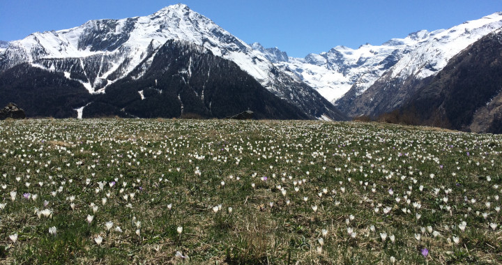 C'est le pringtemps!