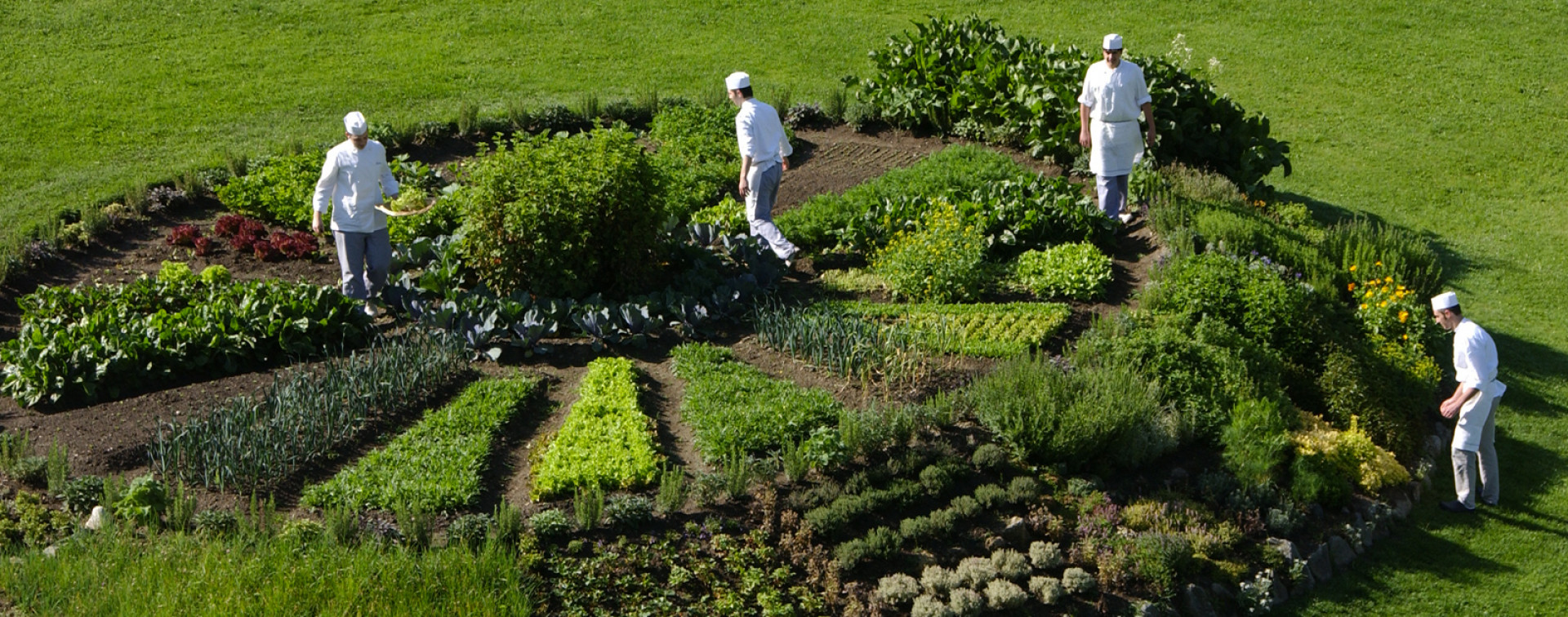 Le jardin potager