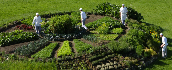 Le jardin potager