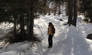 Passeggiate sulla neve