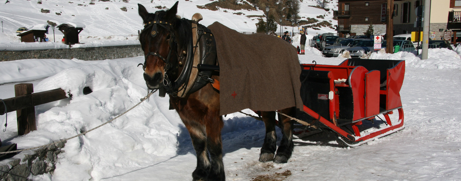 Cogne Valle d'Aosta